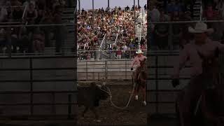 Next Level Pro Bull Riding FINALE 2024 Waterloo Illinois [upl. by Ilene]