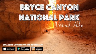 Bryce Canyon National Park Navajo Trail Virtual Hike [upl. by Llireva302]