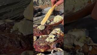 Juicy and Delicious Steak With Mushrooms From Chef Tavakkul in the Wilderness [upl. by Bruni]