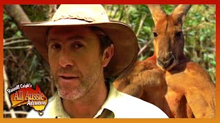 Russell Coight VS Animals  All Aussie Adventures [upl. by Corine]