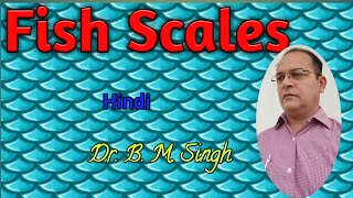 Fish scales Hindi [upl. by Charmane953]