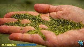 Papakolea Beach The Green Sand Beach of Hawaii new [upl. by Eniowtna]