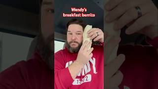 Wendy’s Breakfast Burrito Taste Test 🌯 Hoosier Daddy Food Reviews [upl. by Ylatan277]