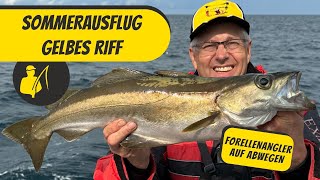 Forellenangler auf Abwegen Gelbes Riff 2023 [upl. by Bradwell723]