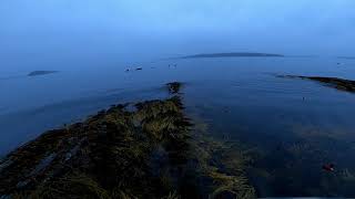 Sea Duck Hunting Maine Mixed Bag [upl. by Farrison]