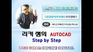 리키샘 AUTOCAD 정품인증 어카지 [upl. by Nikki]