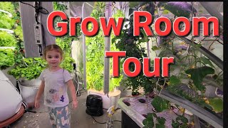 Grow Room Tour October 2023 Indoor Hydroponics [upl. by Ennoval444]