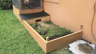 How to make an Outdoor Tortoise Enclosure [upl. by Rabbi]