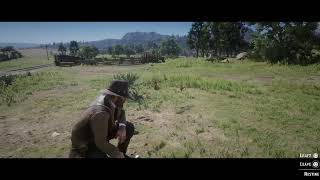 RED DEAD REDEMPTION 2 PLAYSTATION 4 [upl. by Eppesuig154]