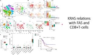 FAS interact with CD8a Tcells amp has inverse relation with KRAS Bioinformatics Results Code 727 [upl. by Ridglea953]