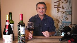 Hablemos de vino cr Don Melchor y Casillero del diablo Bodega Concha y ToroChile [upl. by Torry]