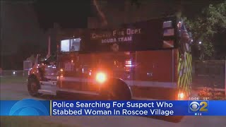 Woman Found Stabbed To Death In Chicago Rivers North Branch [upl. by Alburg]