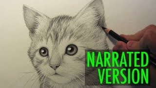 How to Draw a Kitten Narrated Step by Step [upl. by Wehrle]