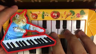 KEYBOARD CAT but its played on a 1 piano [upl. by Ecam]