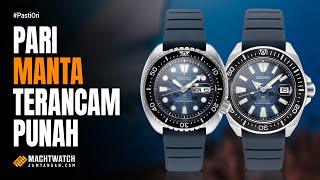 Manta Ray Upgrade Spek  Review Seiko Prospex Save The Ocean SRPF79K1 amp SRPF77K1 [upl. by Aknahs532]