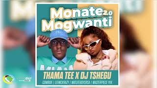 Thama Tee amp DJ Tshegu  Monate mogwanti 20 Ft Cowboii LeeMcKrazy Matuteboyrsa amp Master Piece YVK [upl. by Giusto212]