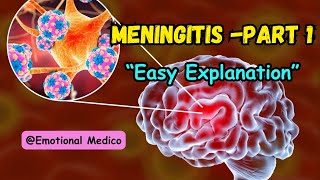 Meningitis  Part 1  CNS pathology  Medium Robbins emotionalmedico [upl. by Deedee]