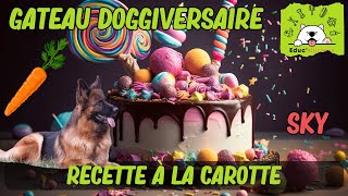 RECETTE FACILE  Gâteau pour CHIEN à la CAROTTE  🥕🐾 [upl. by Pincas]