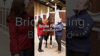 How to check a browband fits  Bridle Fitting BridleFitting Bridle [upl. by Tyoh]