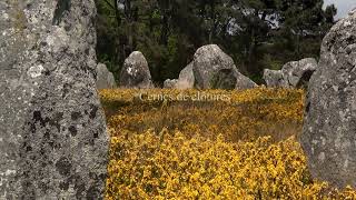 Carnac les alignements de Kermario [upl. by Norman]