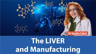 What does the LIVER do  HUGE effect on metabolism and thyroid problems  PART 5  DR SANDRA CABOT [upl. by Itsym]