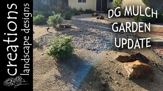 Decomposed Granite As Mulch Garden Update [upl. by Sparke849]