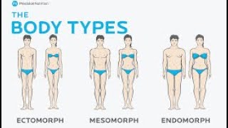 Ectomorph vs Endomorph 13365 [upl. by Nedgo]