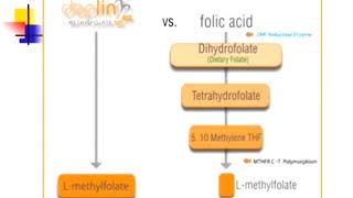 MTHFR Methylfolate amp Prescriptions Presentation 🧬 Dr Neil Rawlins Presentation Part 1 of 4 [upl. by Aneles]