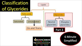 What are Glycerides Neutral Glycerides vs Phosphoglycerides with example LipidsPart 3 [upl. by Silvana915]