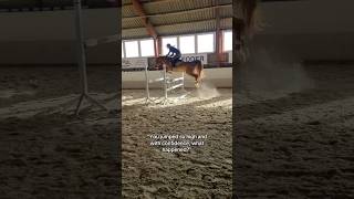 Keep going 🔥❤️‍🔥 equestrian horse horses pony pferde cheval hest trending funny hest [upl. by Ahcsas]