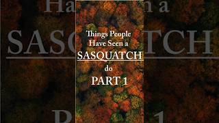 Things People Have Seen Sasquatch Do Part 1 [upl. by Rogergcam888]