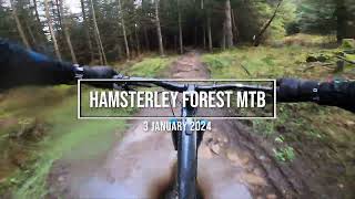 Hamsterley Forest North East of England  MTB  4K [upl. by Krebs]