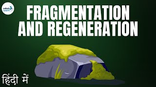 Reproduction  Lesson 12  Fragmentation and Regeneration  in Hindi हिंदी में   Dont Memorise [upl. by Ursala493]