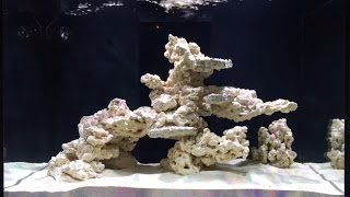 Reef Aquarium  eaReef Pro 900  Episode 10  Tank Cycling [upl. by Gertrude574]