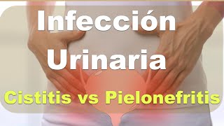 Infección de Vías Urinarias Explicación Cistitis Pielonefritis [upl. by Atinele]