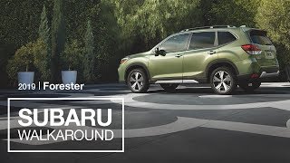 The 2019 Subaru Forester SUV  Model Walkaround [upl. by Aylad81]