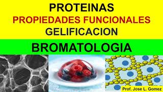 BROMATOLOGIA Propiedades Funcionales proteína gelificación [upl. by Lennad]