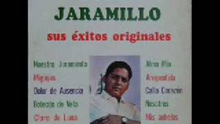 JULIO JARAMILLO  pasionarias [upl. by Nennarb563]