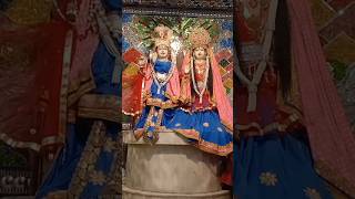 sawriya kardo beda paartere roop ne roj niharuradha krishna ststusshorts [upl. by Rafa]