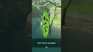 Korok Seed 1 Great Plateau  The Legend of Zelda Breath of the Wild 100 Walkthrough shorts Botw [upl. by Regnig]