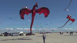 1000s of flying kites on the beach Fanø Denmark 🇩🇰 [upl. by Aitnyc]