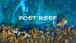 Poet Reef Villa Cousins Cove Jamaica [upl. by Enawtna]