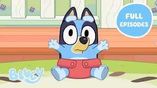 Heeler Family Time 💙 🧡  Full Episodes  Baby Race Asparagus and More  Bluey 💙 [upl. by Eseerehc]