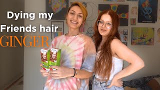 Dying my friends hair ginger BradMondo copperhair gingerhair dying viralvideo diy [upl. by Enileuqkcaj]