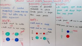 IsogamyAnisogamyHeterogamy And Oogamy In HindiUrdu [upl. by Sanez]