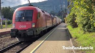 ÖBB 1116 176  1293 186 mit einem EKOLKLV [upl. by Kolb156]