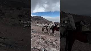 Chimborazo hiking adventure 🏔️ happygringo chimborazo [upl. by Suiradal182]