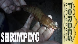 Monster Shrimp the Banana River Reds [upl. by Magbie997]