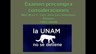 CHARLAS EQUINOS Examen precompra consideraciones Jose Luis Velazquez [upl. by Anelrats]