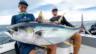 Monster Yellowfin Tuna [upl. by Anit624]